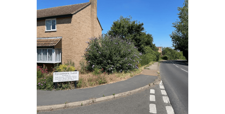 Property Image 0